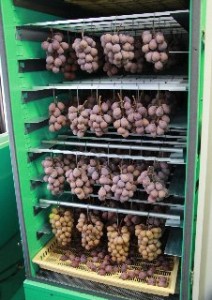 2015-12-1_22